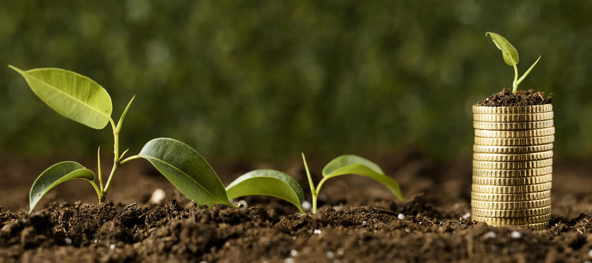 slider-img-02.jpg 1737729877947.webp